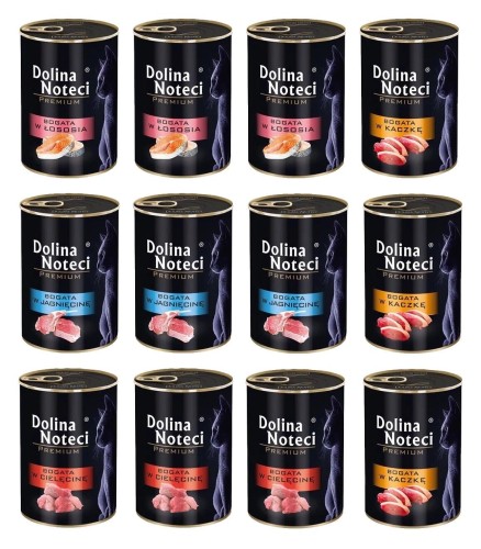 DOLINA NOTECI PREMIUM KOT MIX SMAKÓW 400G x 12