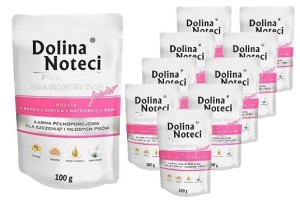 DOLINA NOTECI JUNIOR SERCA INDYKA 100G x10