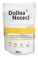 DOLINA NOTECI JUNIOR ŻOŁĄDKI KURCZAKA 100G x10 2