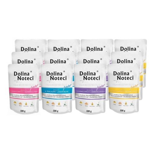 DOLINA NOTECI PREMIUM DLA MAŁYCH RAS JUNIOR MIX 12X100G