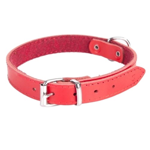 Obroża dla psa skórzana CZEROWNA Dingo r. M 39-49cm szer 2,2cm