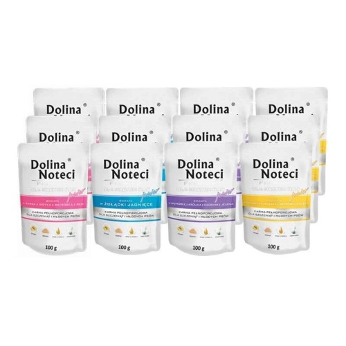 DOLINA NOTECI PREMIUM DLA MAŁYCH RAS JUNIOR MIX 12X100G