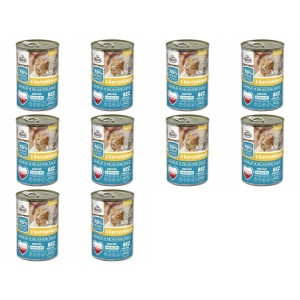 FRENDI karma mokra dla kota kawałki w sosie z kurczakiem JUNIOR 10X 400g