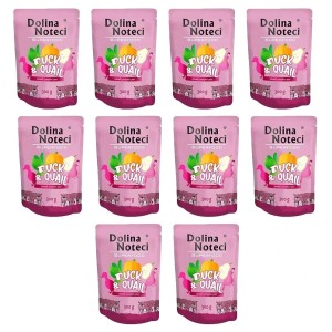 DOLINA NOTECI SUPERFOOD KACZKA PRZEPIÓRKA 300G x10