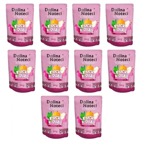 DOLINA NOTECI SUPERFOOD KACZKA PRZEPIÓRKA 300G x10