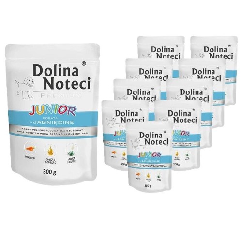 DOLINA NOTECI PREMIUM JUNIOR JAGNIĘCINA 300G x10