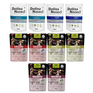 Dolina Noteci + PetRepublic saszetki MIX SMAKÓW 10x500g
