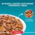 Purina One Sterilcat mokra karma dla kota łosoś i indyk w sosie 4x85g 2
