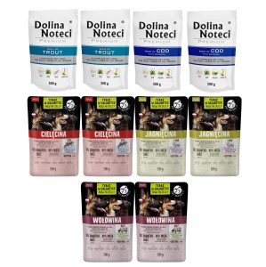 Dolina Noteci + PetRepublic saszetki MIX SMAKÓW 10x500g